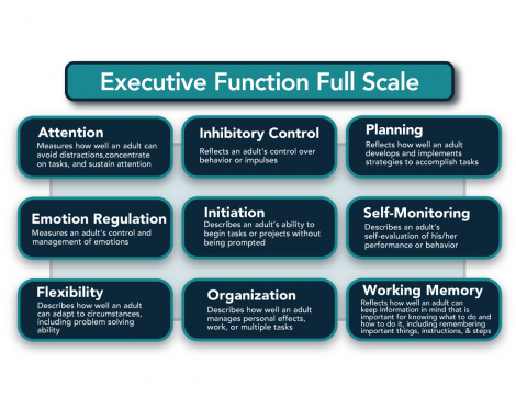 Executive function flowchart